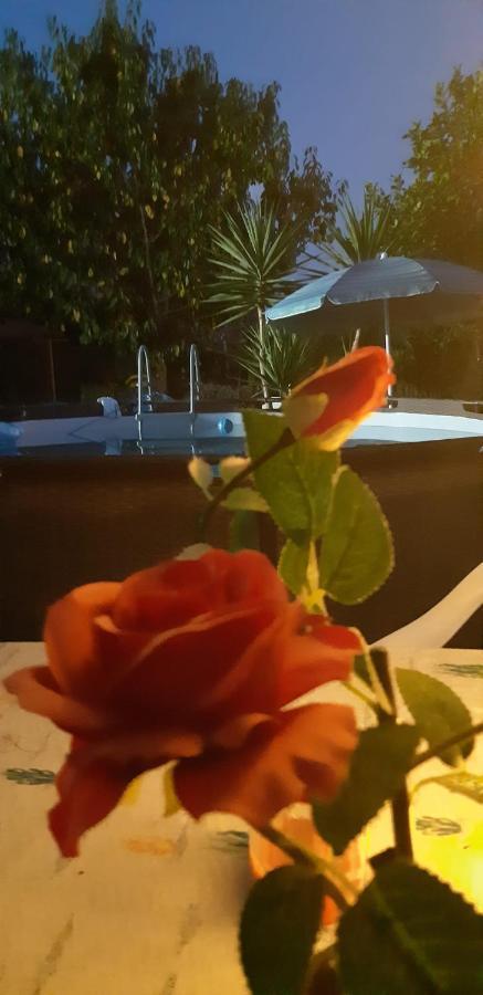 L'Isola Felice Διαμέρισμα Cecina  Εξωτερικό φωτογραφία